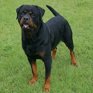 Meet your Posher, Mary ann